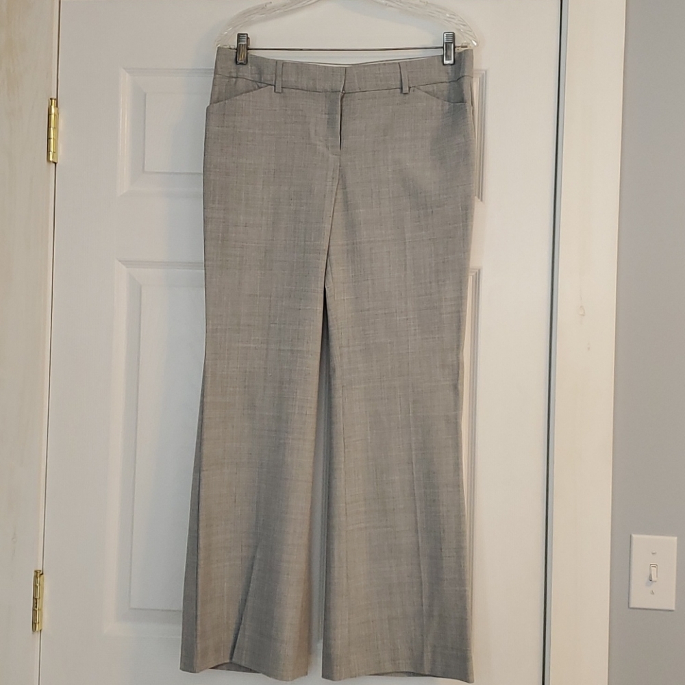 Express Design Studio Editor Pants